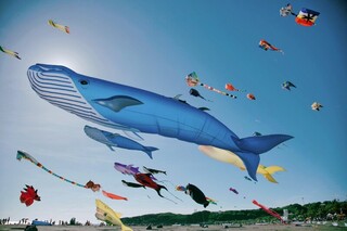 2024旗津風箏節7/20登場 高市府籲搭渡輪前往