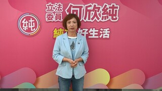 盧秀燕將訪美何欣純祝福 綠議員籲向議會專案報告