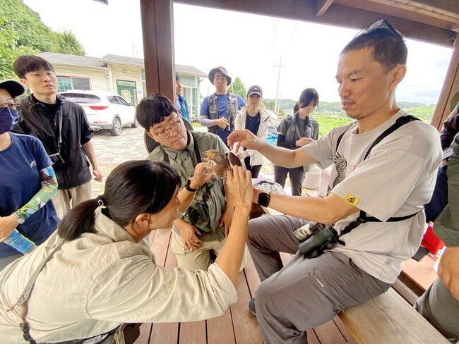 嘉大師生赴韓國交流 參與野外繫放赤腹鷹 | 華視新聞