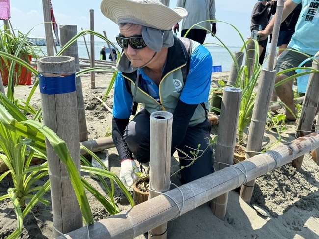 為外傘頂洲編織綠色固沙網 南投分署揪眾種地被植物 | 華視新聞