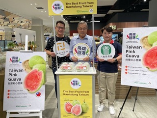 高雄紅心芭樂拚出口 2024年上半年成長10倍