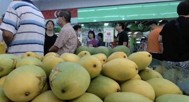 高雄芒果芭樂進軍新加坡超市 在地人喊愛台味 | 華視新聞