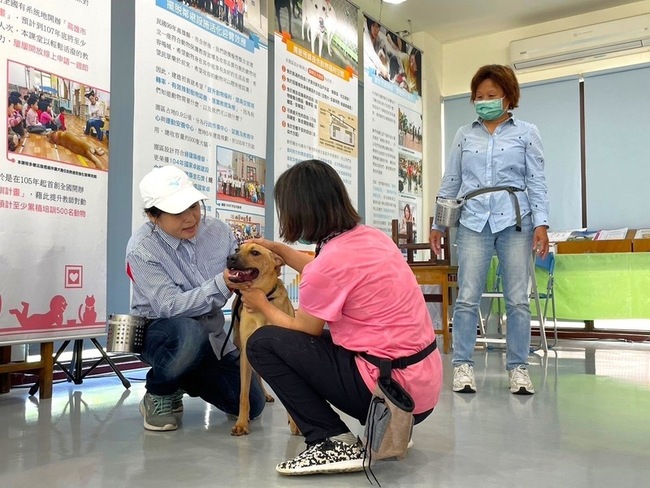 高市動保處首創訓犬課程 讓飼主更懂毛小孩 | 華視新聞