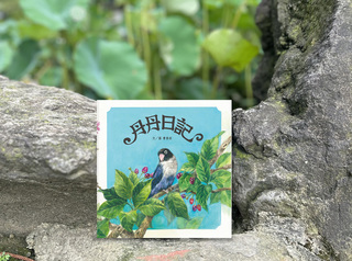 寵物是家中一份子 曹泰容彩筆畫鸚鵡丹丹生活點滴