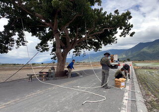 台東金城武樹五花大綁防颱 漁船進港避風