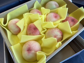 颱風凱米來襲 農民搶收梨山水蜜桃中橫加開通行時間