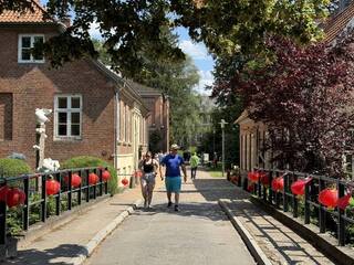 市政廳飄青天白日旗 德鞋匠城舉辦為期兩月台灣週