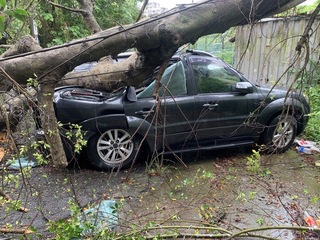 颱風凱米襲台  桃園龜山區樹倒壓車