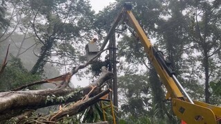 強風一度釀嘉縣逾3千戶停電 台電搶修279戶待復電