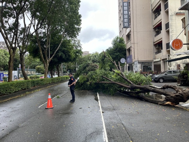 凱米颱風來襲 台中市區多處路樹倒塌、號誌脫落 | 華視新聞