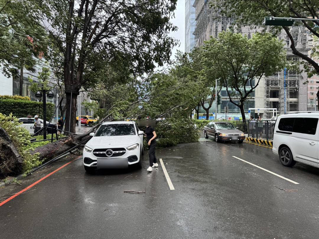 台中七期百貨商圈路樹倒塌  波及2車無人受傷 | 華視新聞