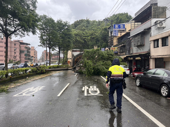 基隆隧道前路樹倒塌交通受阻  下午恢復單線通車 | 華視新聞