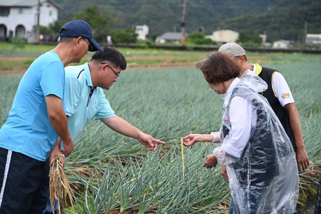 宜蘭農損估930萬元 青蔥占26.5公頃 | 華視新聞