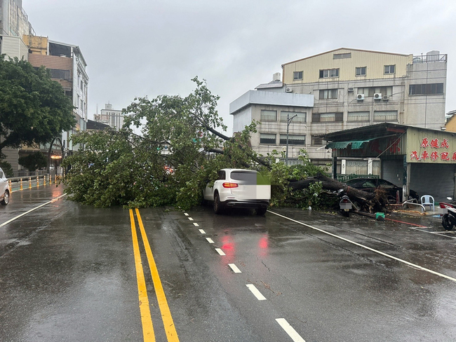 颱風凱米台中路樹傾倒壓損車輛 2人爬出車外脫困 | 華視新聞