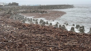 海邊現漂流木民眾冒險撿 林保署：尚未開放撿拾