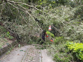 進出道路積極搶修  南投奧萬大8/10重新開園
