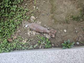 桃園某社區花圃驚見疑似未爆彈  軍方緊急處置帶離