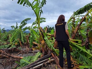 農業部第2次公告花蓮農損救助 把握8/2至8/12申請期