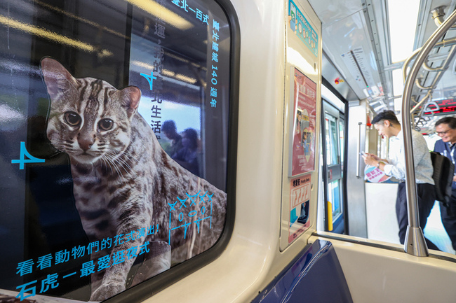 北市建城140週年  穿山甲石虎躍上北捷限定車廂 | 華視新聞