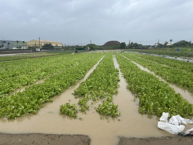 高市颱風農損免勘查項目增  芭樂香蕉木瓜蔬菜入列 | 華視新聞