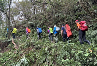 新北平溪千階嶺登山客遭蜂螫傷  6人就醫