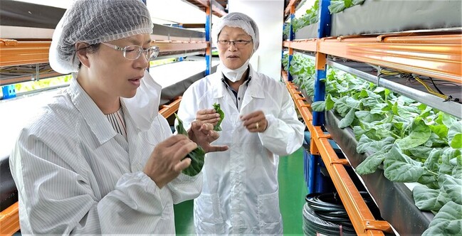 彰化青農訪新加坡智慧植物工廠  取經避天災農損 | 華視新聞