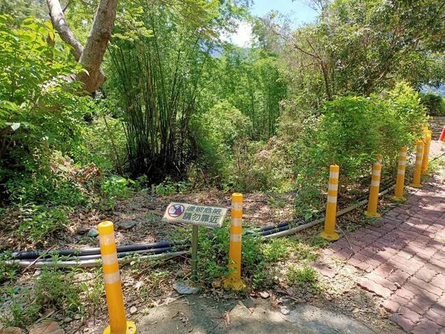 高雄茂林野溪整治  加強生態檢核保護紫斑蝶 | 華視新聞