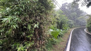 桃警偵破28年前棄屍案 1嫌逾追訴期、3嫌已死亡