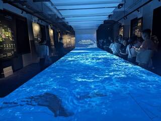 將大安森林公園搬進展場  一窺景觀設計重要性