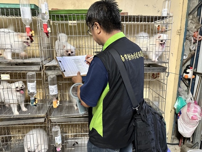 台南破獲非法犬隻繁殖販賣 查獲17隻小型名犬 | 華視新聞