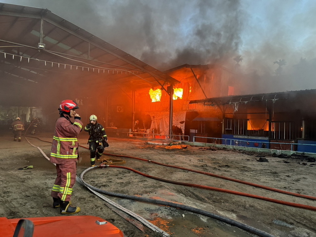 新北板橋鐵皮建築火警 1馬1狗2鸚鵡死亡 | 華視新聞