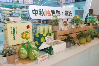 國產文旦深入連鎖通路 上架統一超商、i划算平台