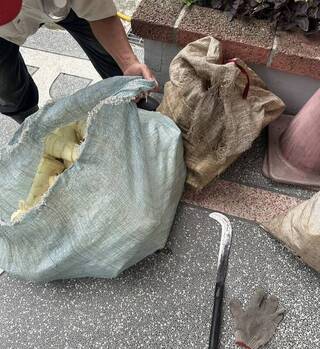 台中男太平山區偷採2大袋竹筍 依竊盜罪法辦