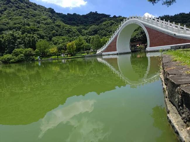 議員批大湖公園湖泊無人管 公園處將邀各單位研商 | 華視新聞