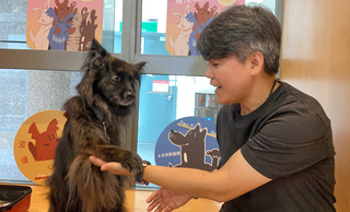 流浪犬培訓成心輔犬 透過人狗弱勢互助一起成長