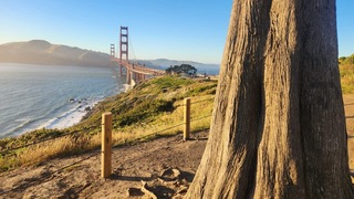 舊金山無家可歸危機 「星艦迷航記」29年前神預言