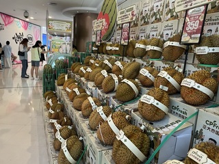 第一批馬來西亞鮮食榴槤 進入中國市場