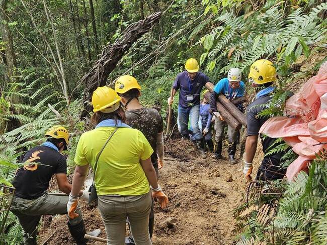 南投澀水森林步道修補就地取材 降低對環境干擾 | 華視新聞