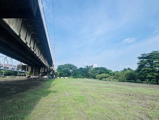 大樹舊鐵橋溼地公園災後淤土清理 大草原等局部開放