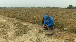 為下一代種土 「無米樂」導演顏蘭權耗時8年推新作