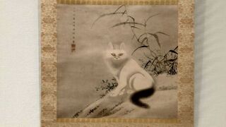 故宮南院展琉球「神貓圖」 參觀者絡繹不絕