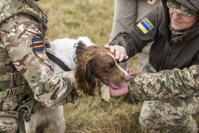 英國協訓烏克蘭軍犬領犬員  助除未爆彈 | 華視新聞