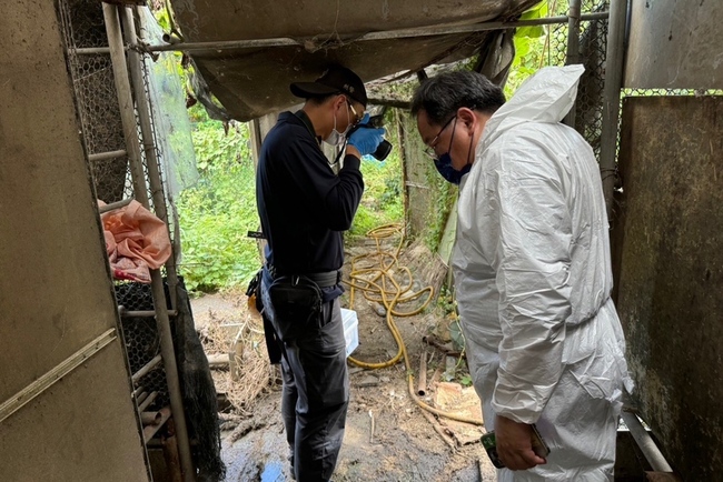 桃園觀音飼養場疑宰售狗肉 動保處未查獲移請偵辦 | 華視新聞