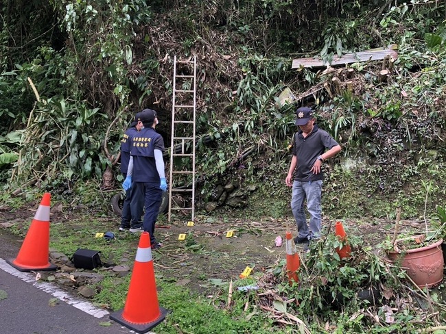 苗縣男架梯修樹不慎摔落3公尺地面 頭部重創不治 | 華視新聞