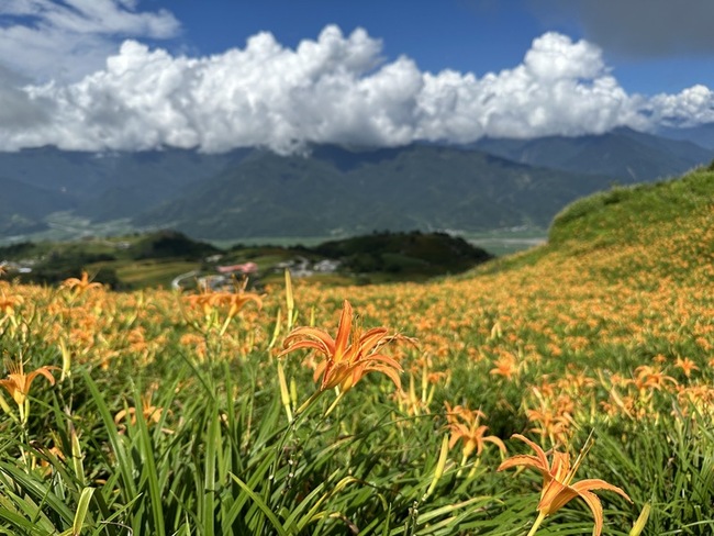 花蓮富里鄉舉辦攝影大賽  盼藉美景畫面推展觀光 | 華視新聞