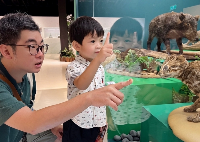 十三行博物館推史前動物特展  還能手作文蛤項鍊 | 華視新聞