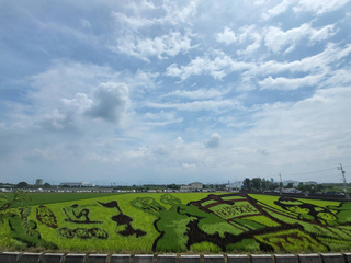 屏東東港迎王祭請水 南州彩繪稻田秀王船