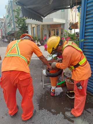 登革熱病媒蚊雲林北港現蹤  全鎮大清消