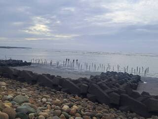 颱風山陀兒來襲 雲林疑1外籍移工落水尚未尋獲