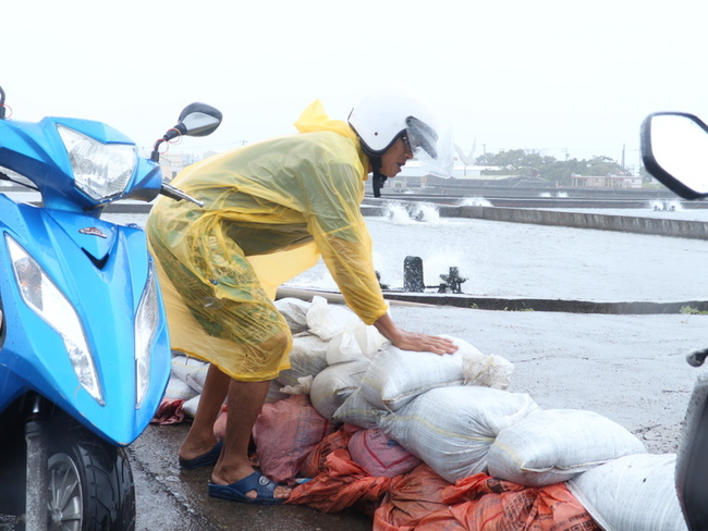 屏東枋寮大庄海堤破裂恐毀魚塭  急放消波塊防堵 | 華視新聞